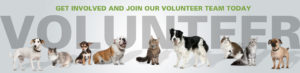 volunteer_slide1