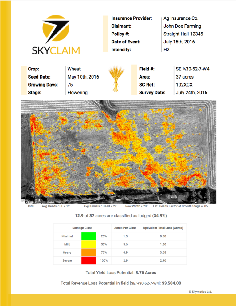 Skymatics-3